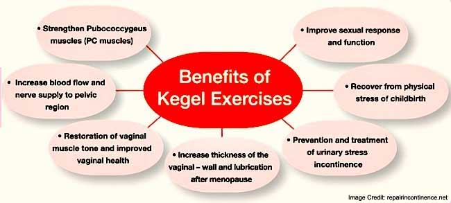 Benefits of Kegel Exercises FAQ Image