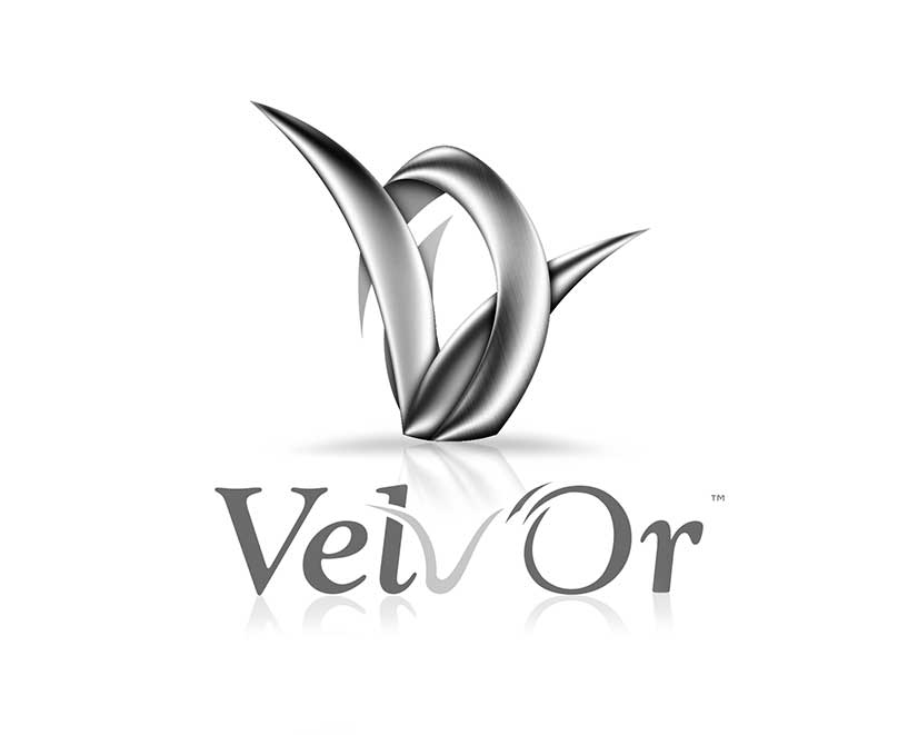 Velv'Or Logo in White Branding Photo