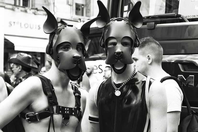 Men Dressed In Dog Mask Photo