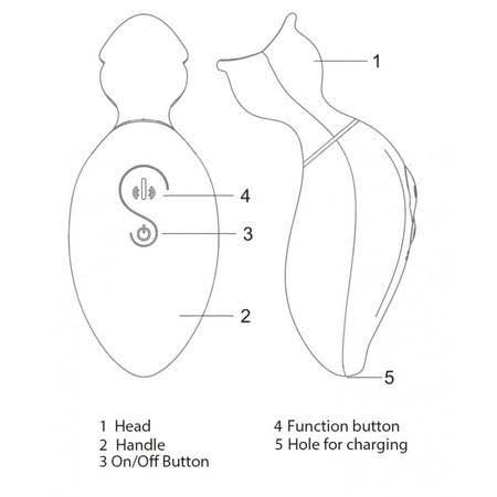 Allure Bliss Diagram Sex Toy Image