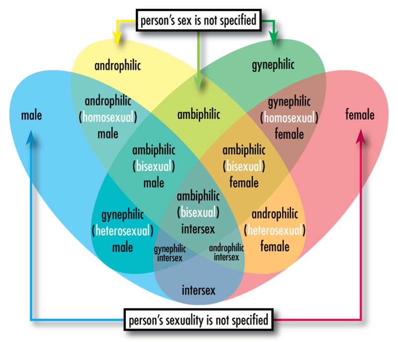 sexuality labels