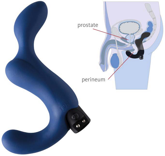Prostate sex toy in blue