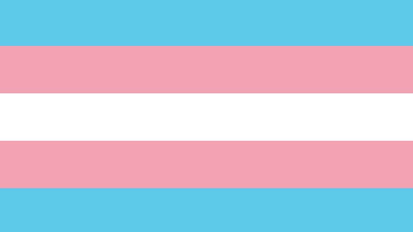 LGBTQIA trans pride flag