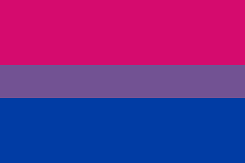 Bisexual Pink Purple Blue Flag