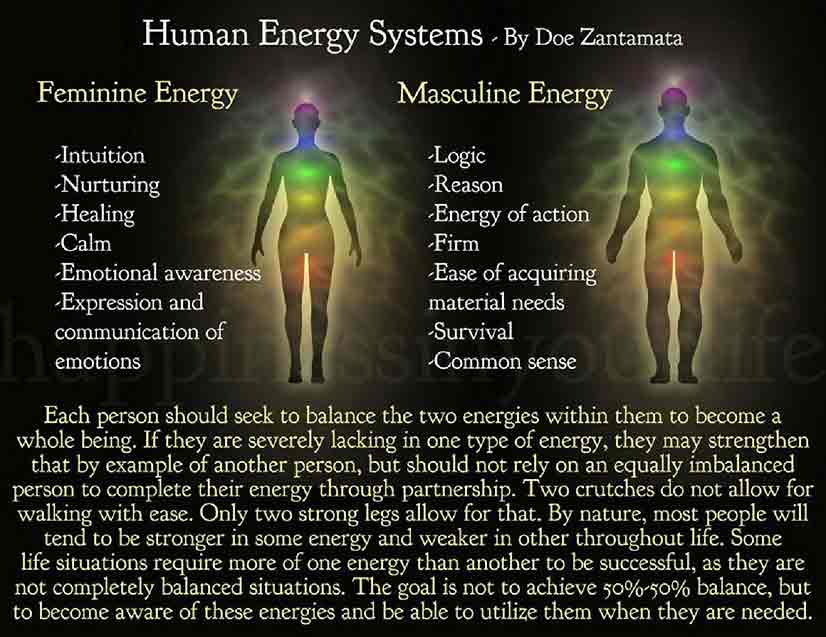 Human Energy Systems Diagram