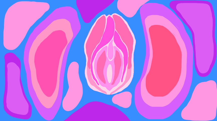 the vulva