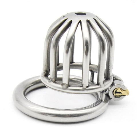 Asylum Chastity Cage - Male Chastity