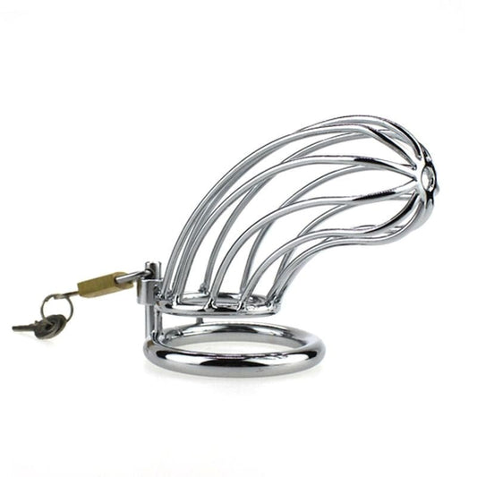 BDStyle Caged Tiger Chastity Device Male Chastity