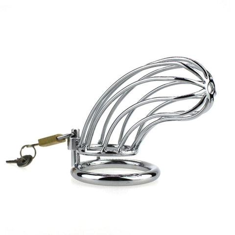 BDStyle Caged Tiger Chastity Device - Male Chastity