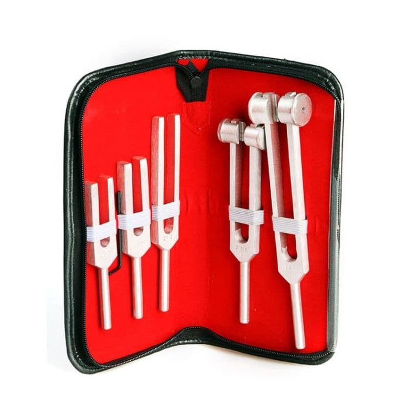 Delish Sex Tuning Fork Set Penis Plugs