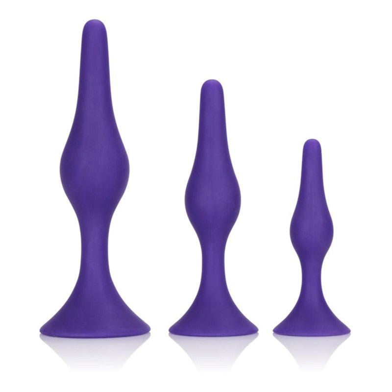 Booty Call Booty Silicone Anal Trainer Kit Purple Butt Plugs