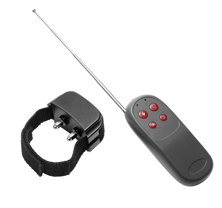 Cock Shock Remote Cbt Electric Cock Ring Cock Rings