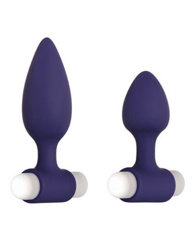 Evolved Dynamic Duo Anal Vibrators