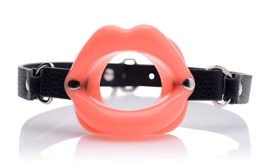 Master Series Sissy BDSM Play Mouth Gag Bondage Gags and Bits