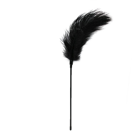 Fetish Collection Bondage Play Feather Tickler - Ticklers