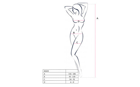 Passion Lingerie Sheer Body Hugging Bodystocking BS029 One Size Black - Body Stockings