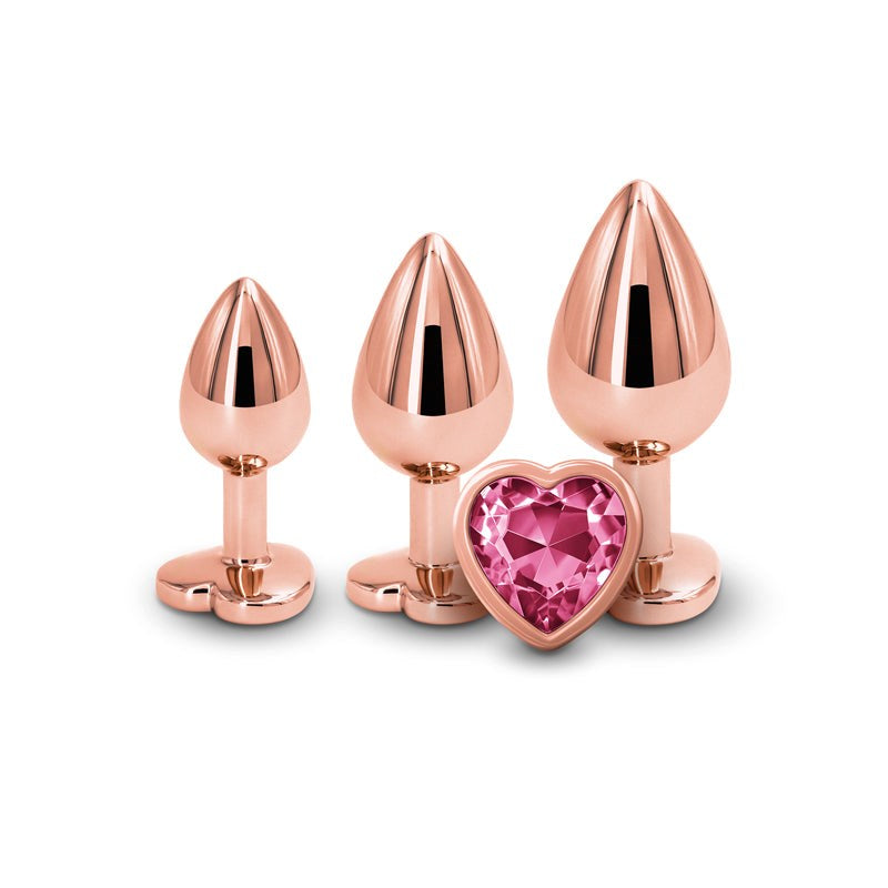 Rear Assets Trainer Kit- Rose Gold Pink Heart Butt Plugs