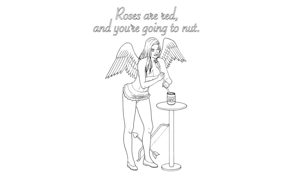 Wood Rocket My Naughty Valentine Adult Colouring Book Party Gifts and Novelties