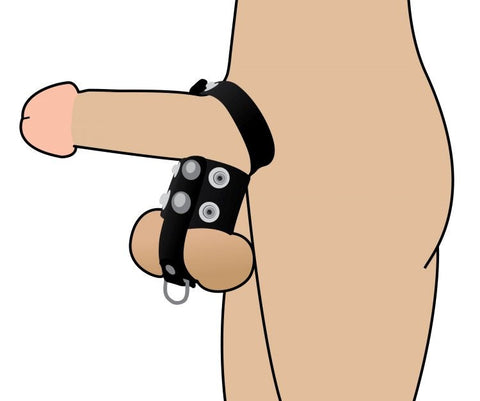 XR Brands Strict Cock Strap And Ball Stretcher Black - Cock Rings