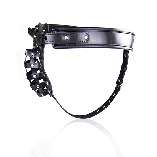 The Male Chastity Net - Male Chastity