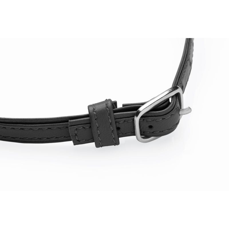 Master Series Sex Pet Leather Choker BDSM Collar With Silver Ring Collars and Leads