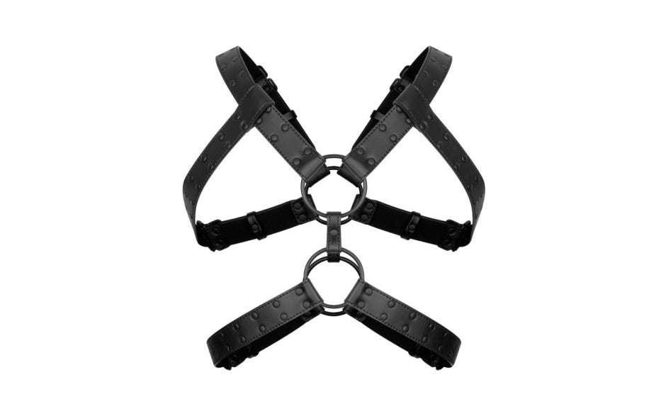 Bedroom Fantasies Rocco BDSM Play Harness Black Cuffs And Restraints