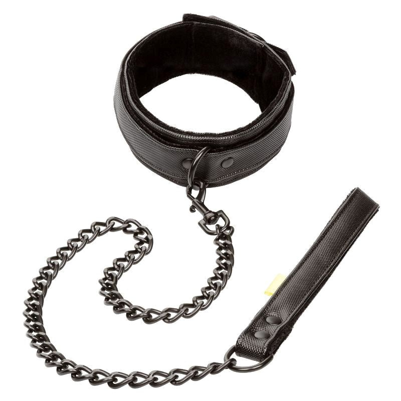 Boundless Collar and Leash Collars and Leads