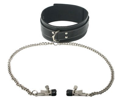 Coveted Collar And Clamp Union - Collars and Leads