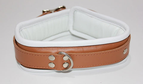 Dungeon Delights Asylum Collar Padded - Collars and Leads