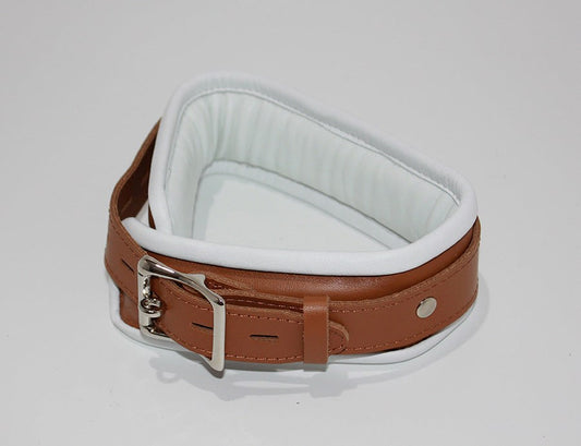 Dungeon Delights Asylum Collar Padded - Collars and Leads