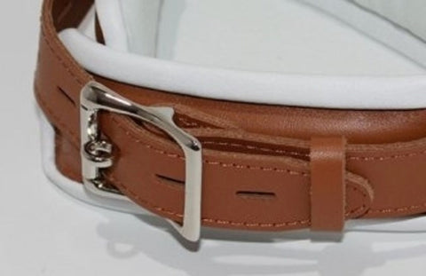 Dungeon Delights Asylum Collar Padded - Collars and Leads