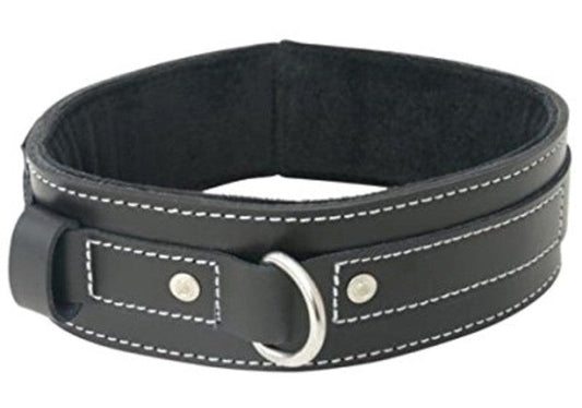 Edge Lined Leather BDSM Play Collar - Collars and Leads