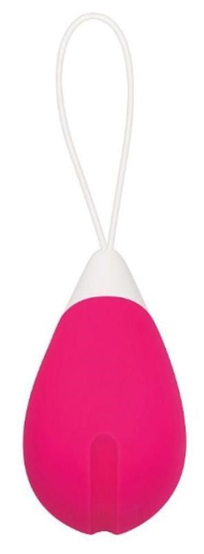 Evolved Remote Control Egg - Remote Control Vibrators