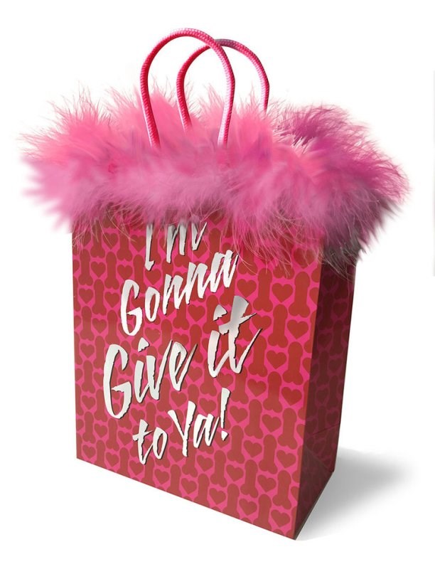 Im Gonna Give it To Ya! Gift Bag Bachelorette and Bucks