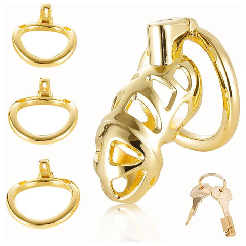BDStyle Male Chastity Cage Locked with 3 Active Sizes Rings - Male Chastity