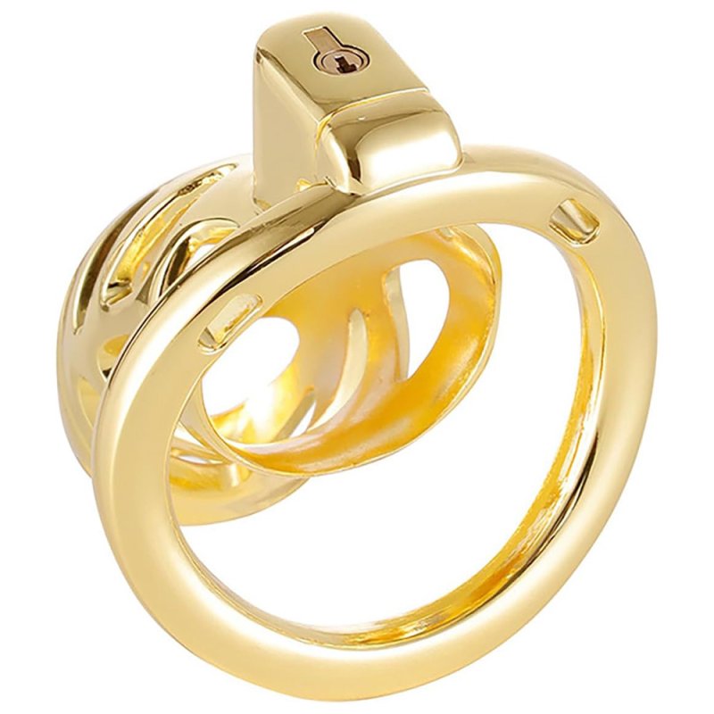 BDStyle Gold Chastity Cage Locked with 3 Active Sizes Rings Male Chastity