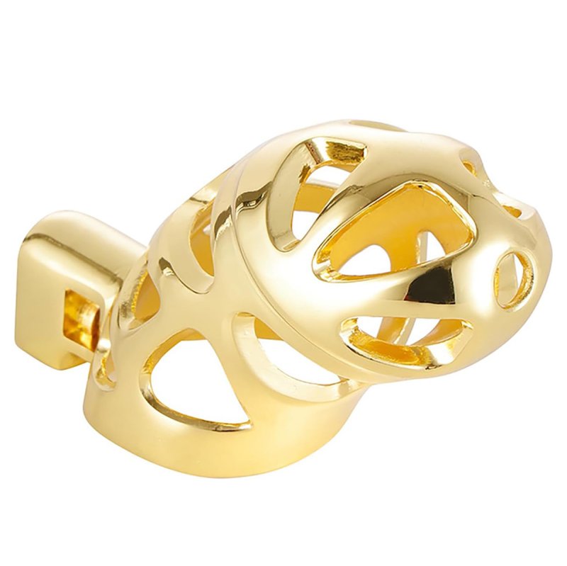 BDStyle Gold Chastity Cage Locked with 3 Active Sizes Rings Male Chastity