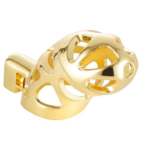 BDStyle Male Chastity Cage Locked with 3 Active Sizes Rings - Male Chastity