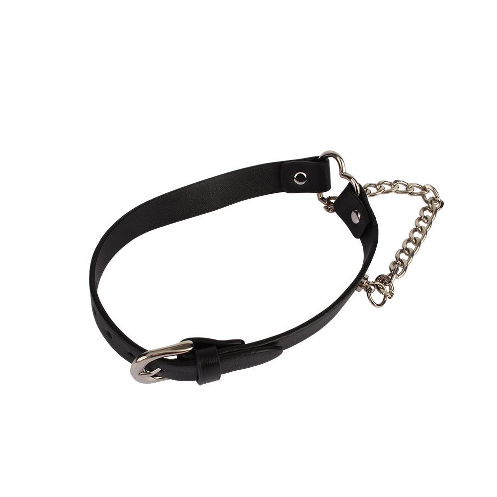 Chisa Fetish Play Heart Collar with a Chain - Collars and Leads