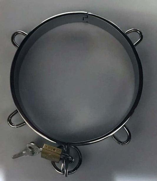 Minion Steel Collar - Collars and Leads