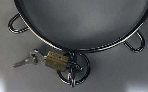 Minion Steel Collar - Collars and Leads