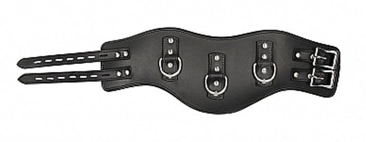Pain Heavy Duty Padded Posture Collar - Collars and Leads