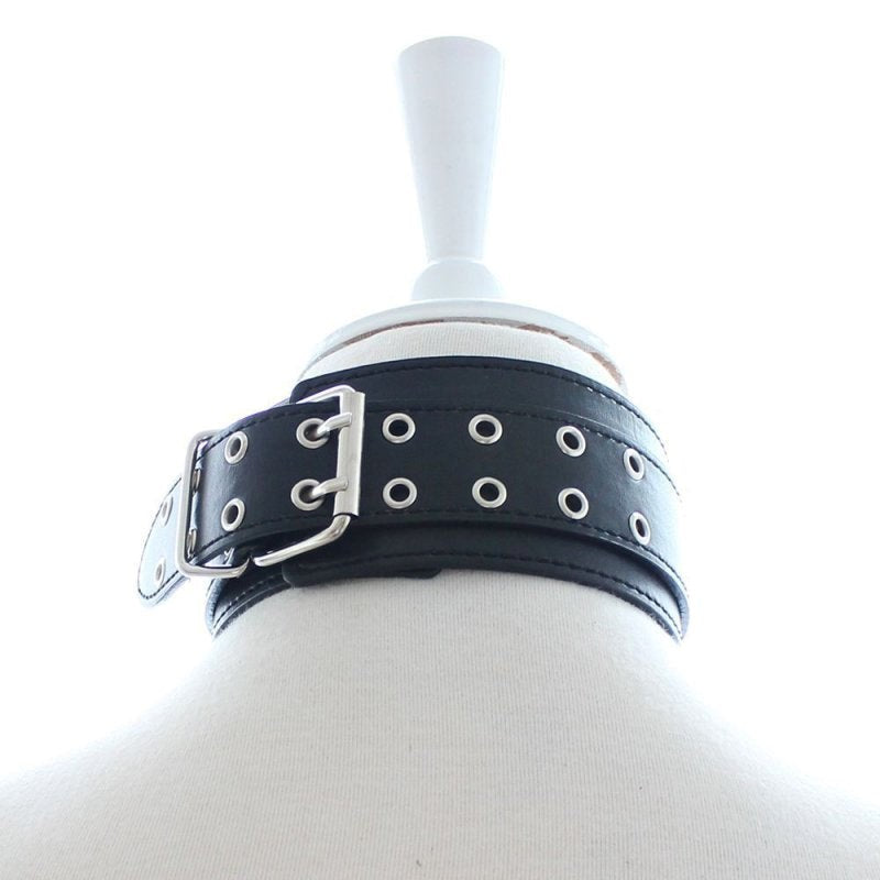 Pins Buckle Collar With D-Ring Collars and Leads