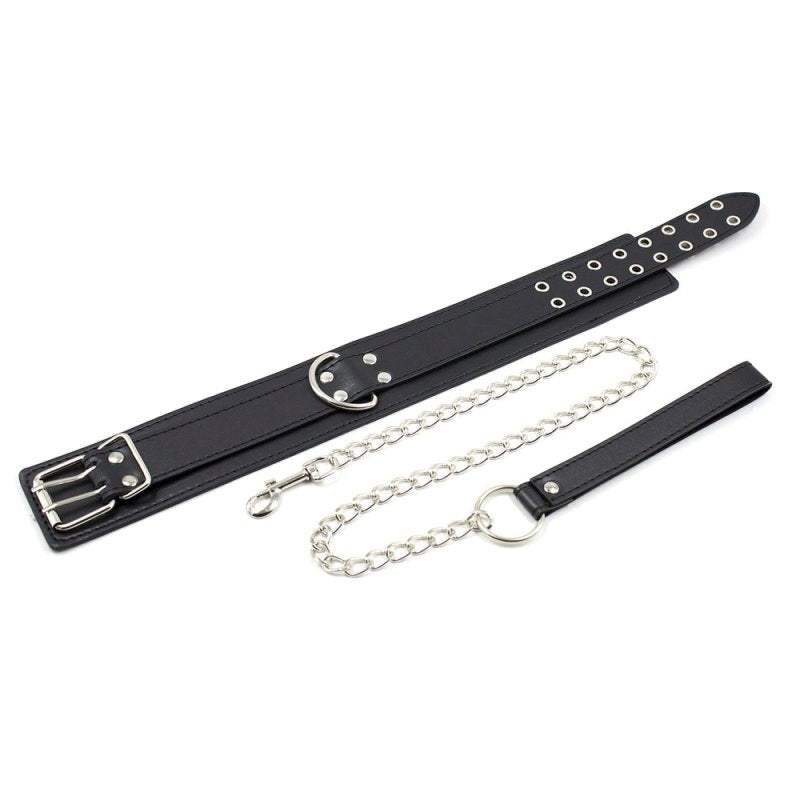 Pins Buckle Collar With D-Ring Collars and Leads