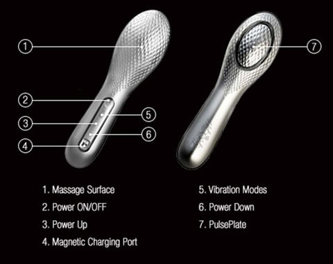 Queen Bee Clit Stimulator - Clit Ticklers and Pulsators