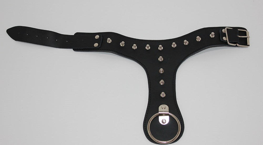 RavishMe Bondage Collar Spiked Collars and Leads