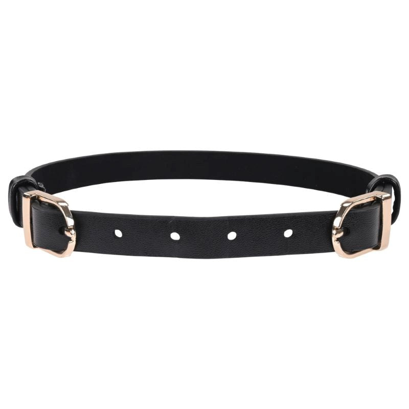 S&M Double Buckle Day Collar Collars and Leads