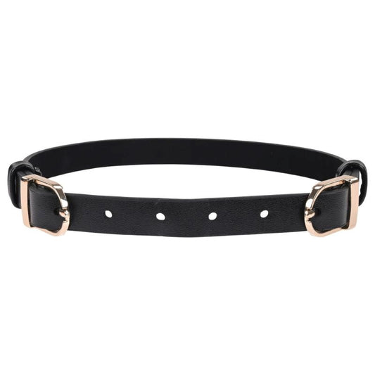 S&M Double Buckle Day Collar - Collars and Leads