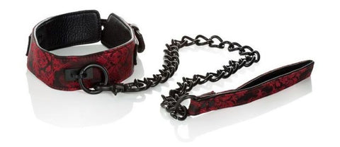 Scandal Collar with Leash - Collars and Leads