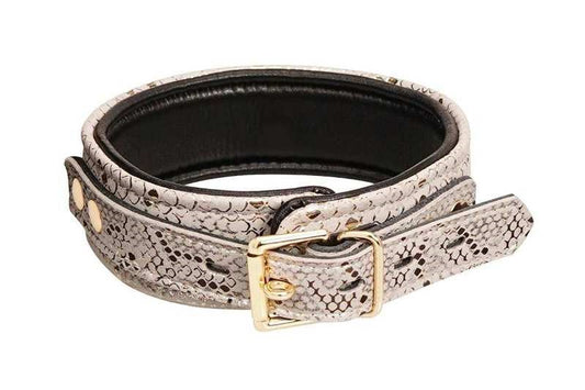 Spartacus White Snake Print Microfiber Collar and Leash - Collars and Leads